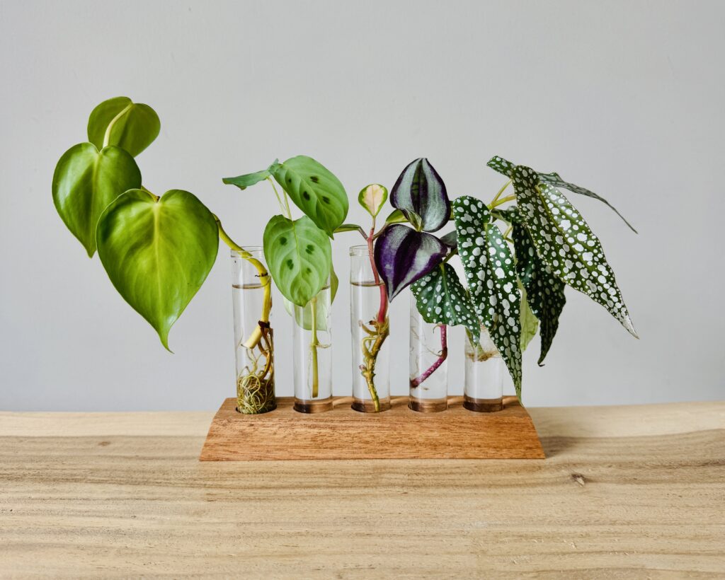 Propagation station Propagation station